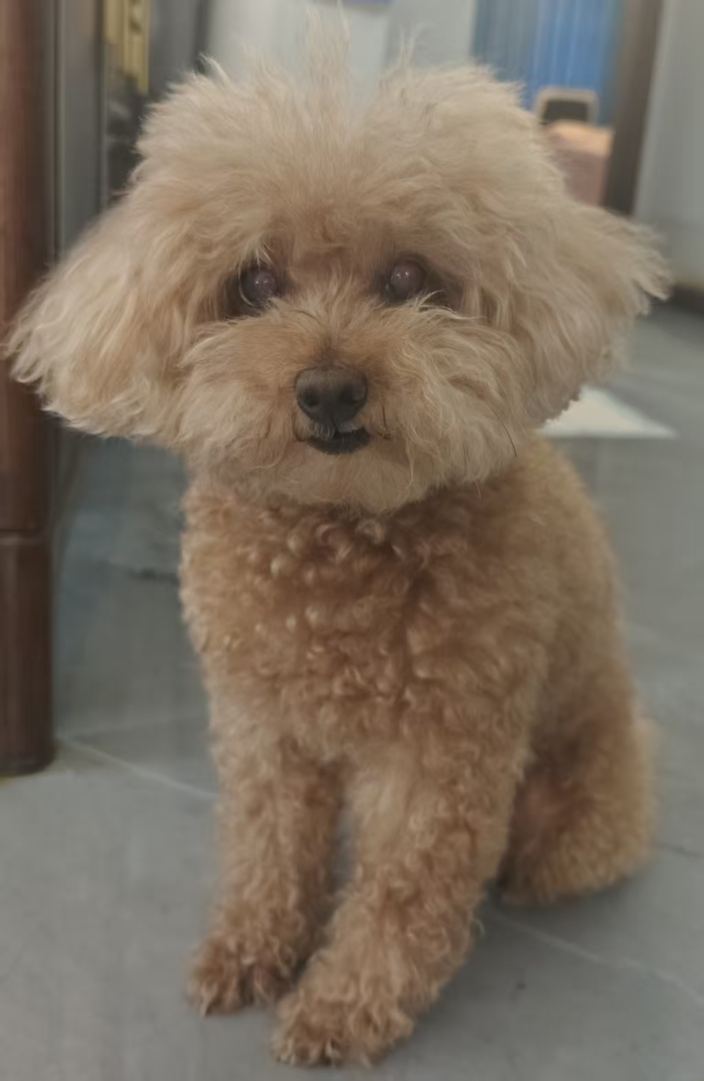 Jerry